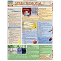 Stain Removal- Laminated 2-Panel Info Guide